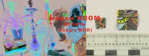 гашик Балахна