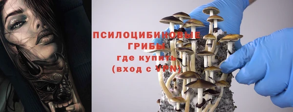 таблы Арсеньев