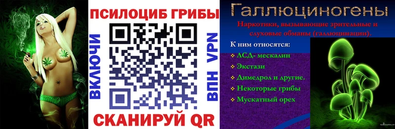 ссылка на мегу tor  Судогда  Галлюциногенные грибы прущие грибы 