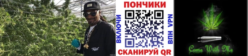 Бошки Шишки MAZAR  Судогда 